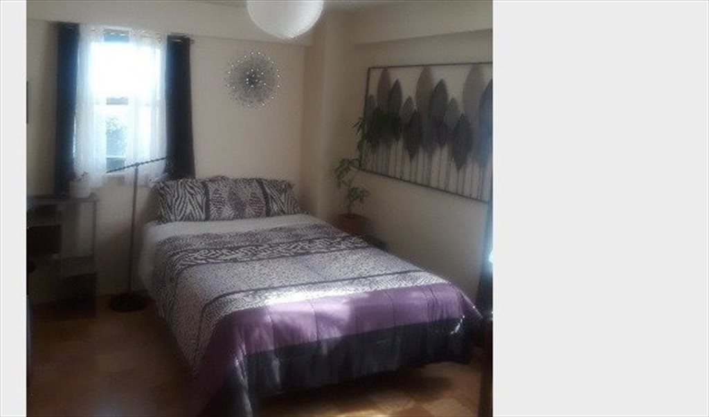 Room For Rent In Elgar Place The Bronx Single Female Roommate Only 900