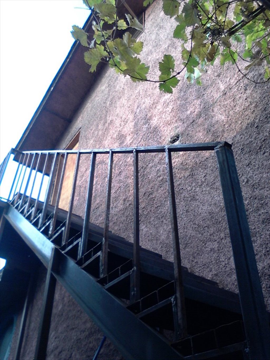 Pieza en arriendo en Nuncio Laghi, La Reina - Habitacion La Reina