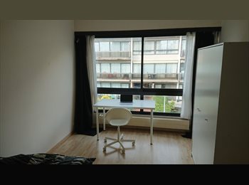 colocations chambres à louer et studio à woluwe saint