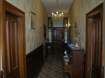  NZ - Cheap studio rooms available!, Dunedin - $130 pw