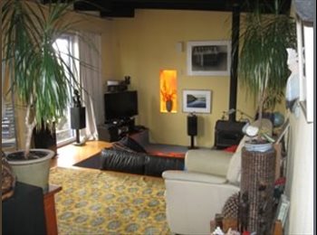  NZ - room available, Wellington - $145 pw