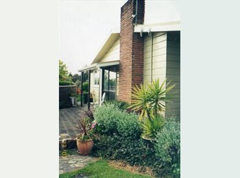  NZ - Spacious sunny room to let, Hamilton - $200 pw