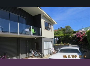  NZ - Fantastic student  or  Professional accomodation Dunedin NZ, Dunedin - $190 pw