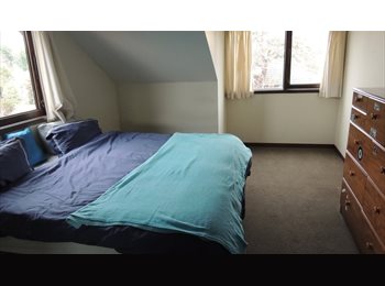  NZ - Fully furnished 5 bedroom house, Christchurch - $180 pw