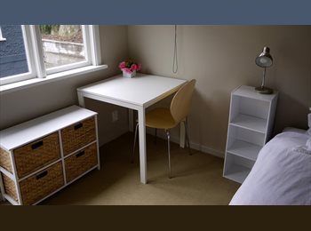  NZ - Sunny Andersons Bay Studio, Dunedin - $180 pw