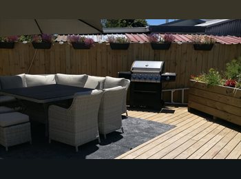  NZ - DOUBLE ROOM AVAILABLE -  SAFE AREA, Tauranga - $220 pw