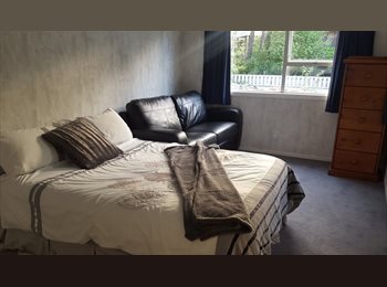  NZ - Furnished room, Hamilton - $250 pw