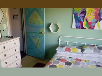  NZ - Retro modern old style large kiwi house, Tauranga - $185 pw