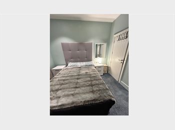  NZ - Suntrap - Room Available, Christchurch - $165 pw