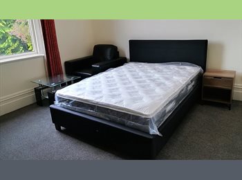  NZ - Stylish Ensuite Studio Rooms, Dunedin - $270 pw