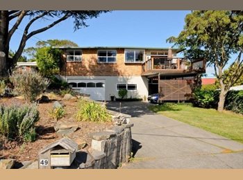  NZ - One Room to Rent in a Large, Beautiful Home, Hamilton - $250 pw