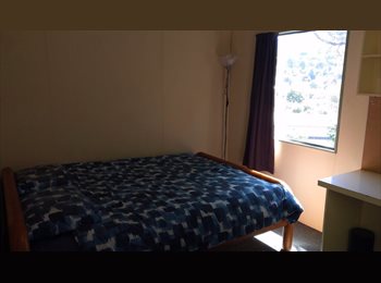  NZ - Flatmate wanted for 2019, Dunedin - $95 pw
