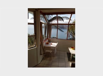  NZ - Roseneath Flatette for one person only, Wellington - $320 pw