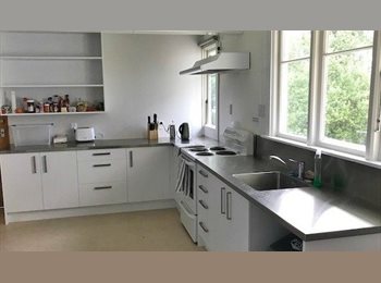  NZ - Freshly renovated rooms, Dunedin - $175 pw