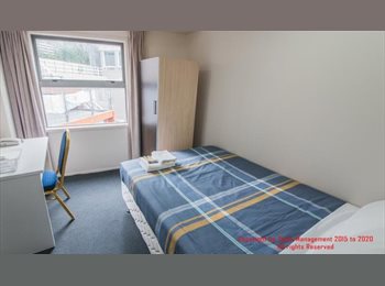  NZ - Empire Apartment on  Whitaker Place, Auckland - $200 pw