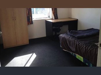  NZ - A gorgeous flat with beautiful people, Christchurch - $110 pw