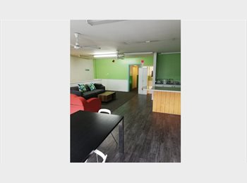  NZ - Apartment to let, Tauranga - $185 pw