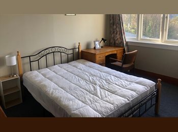  NZ - Close to City Centre and South Dunedin, Dunedin - $185 pw