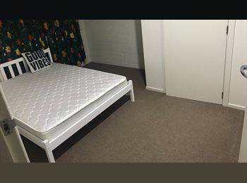  NZ - Flatmate wanted, Hamilton - $150 pw