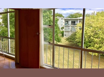  NZ - Freemans bay living, Auckland - $250 pw