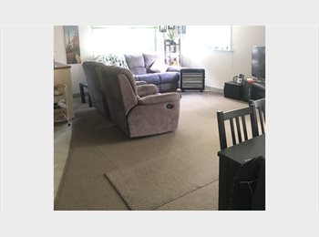  NZ - 1 bedroom furnished flat in Island Bay, Wellington - $230 pw