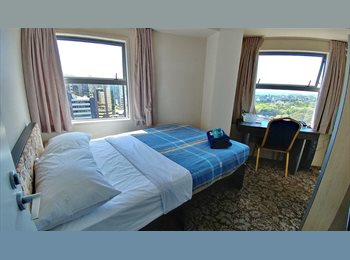  NZ - (City Centre) Single person or  a whole 3 bedroom apartment for rent, Auckland - $235 pw