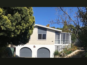  NZ - Room available, Hamilton - $160 pw