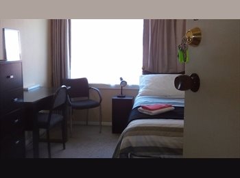 NZ - A Nice Little Room, Christchurch - $130 pw