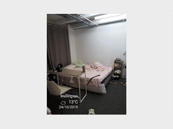  NZ - Te Aro room, Wellington - $230 pw