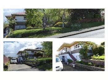  NZ - Christian home in a peaceful neighborhood, Dunedin - $350 pw
