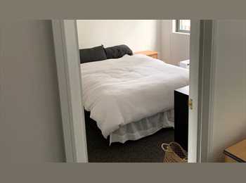  NZ - Room available in the city, Wellington - $300 pw