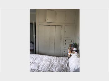  NZ - Two Large Rooms Available now, Hamilton - $150 pw