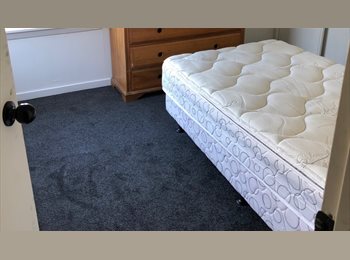  NZ - Room to rent, Christchurch - $180 pw