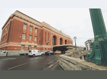  NZ - Studio in CBD for $330/week Include all bills, Auckland - $330 pw
