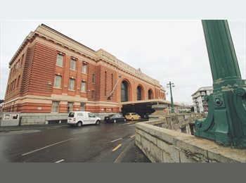  NZ - Hot special On ! Single room for $180 / week in CBD, Auckland - $180 pw