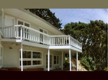  NZ - Looking for housemate in beautiful house on Oriental Bay, Wellington - $225 pw