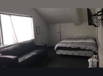  NZ - Flatmates Wanted in Central Wellington Flat!, Wellington - $245 pw