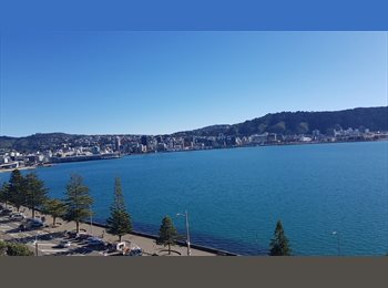  NZ - Top floor apartment in Oriental Bay, Wellington - $340 pw
