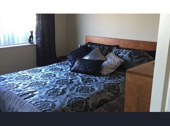  NZ - Room mate wanted, Christchurch - $170 pw