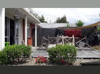  NZ - Room to Rent, Tauranga - $220 pw