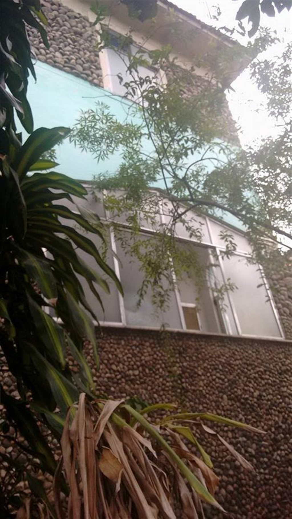 Aluguel Kitnet E Quarto Em Rua Arquias Cordeiro Engenho Novo ~ Quarto E Cozinha Para Alugar Direto Com Proprietario Aluguel Kitnet E Quarto Em Rua Arquias Cordeiro Engenho Novo ~ Quarto E Cozinha Para Alugar Direto Com Proprietario