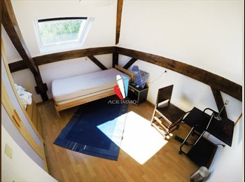 Appartager LU - Chambre Meublé Luxembourg Beggen, Luxembourg - 720 € / Mois