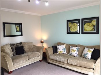 EasyRoommate UK - Immaculately presented  double room in Beautiful townhouse, Mannamead - £425 pcm