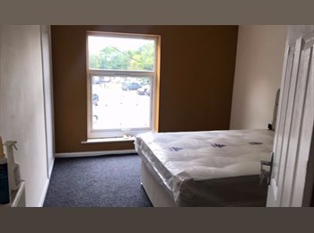 EasyRoommate UK - 2 Doubles in Student House B19- £85pppw, Newtown - £740 pcm