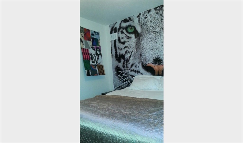 Room To Rent In Groombridge Road London Double Bedroom In Hackney 500