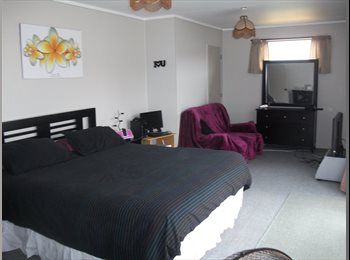  NZ - Big Double Room for rent, Tauranga - $175 pw