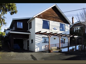  NZ - Beaumonthouse, Dunedin - $160 pw