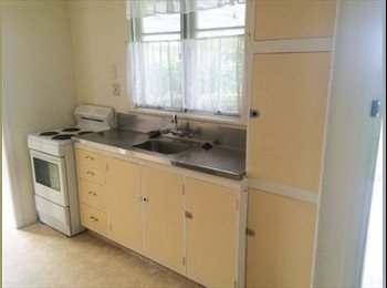  NZ - Spacious double bedroom with your own private bathroom, Hamilton - $250 pw