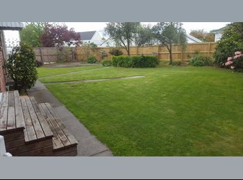  NZ - Spacious double bedroom in a great location!, Christchurch - $140 pw