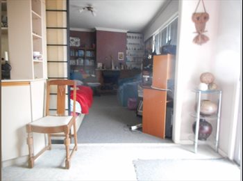  NZ - Kings court, Wellington - $160 pw